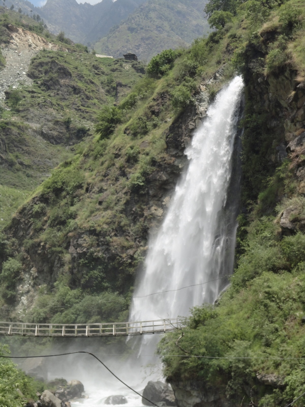 About Indusree